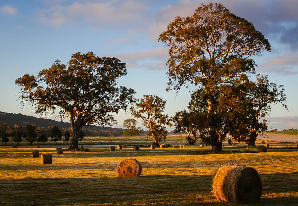 Lobethal, Adelaide Hills South Australia Had some time t… Flickr