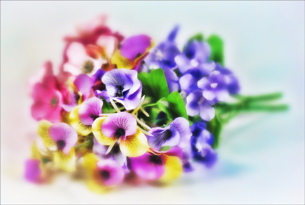 Rhyming Slang Early Hours Flowers Sue Thompson Flickr