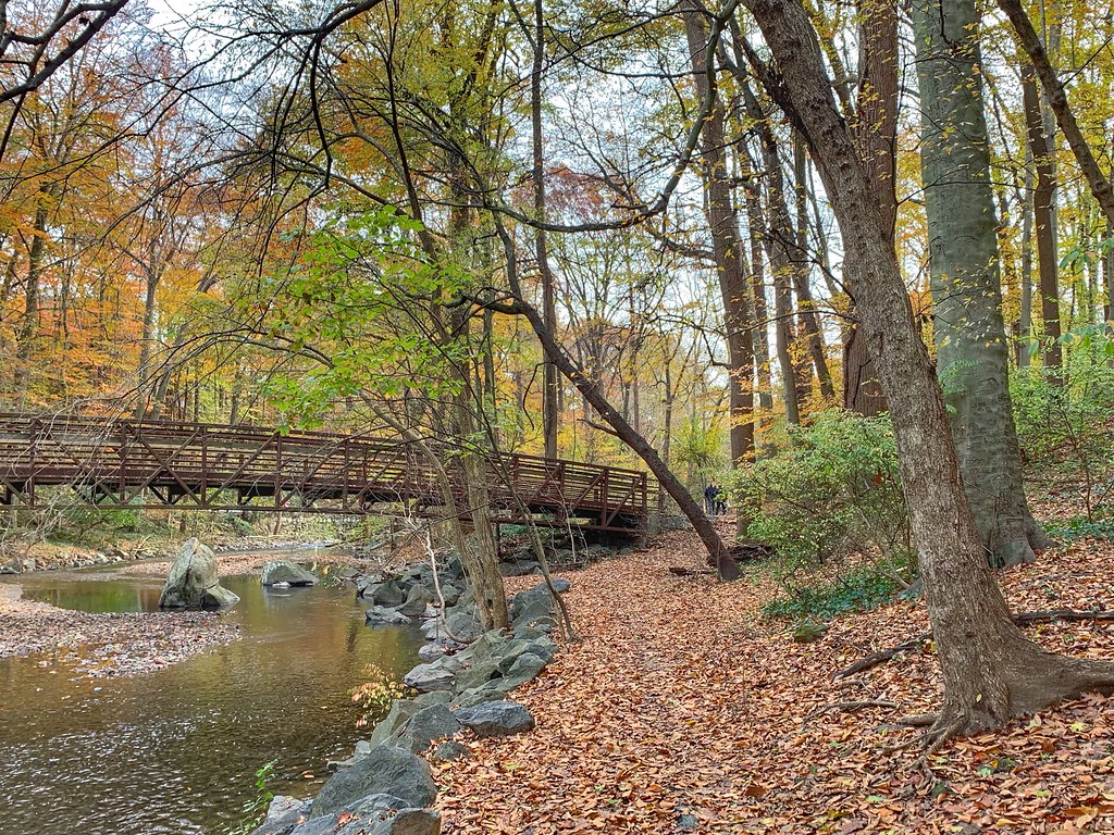 Sunday walk along Sligo Creek, Takoma Park, MD The DC metr… Flickr