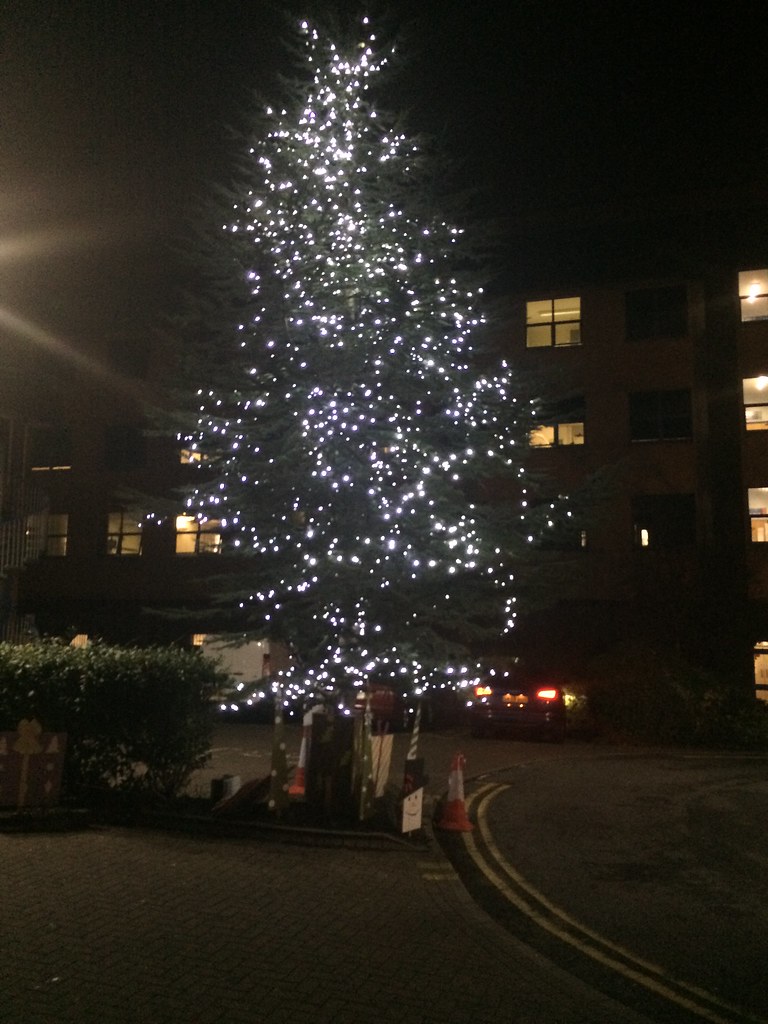 365365 Christmas tree at Lancaster Hospital. Peter Malcolm Flickr