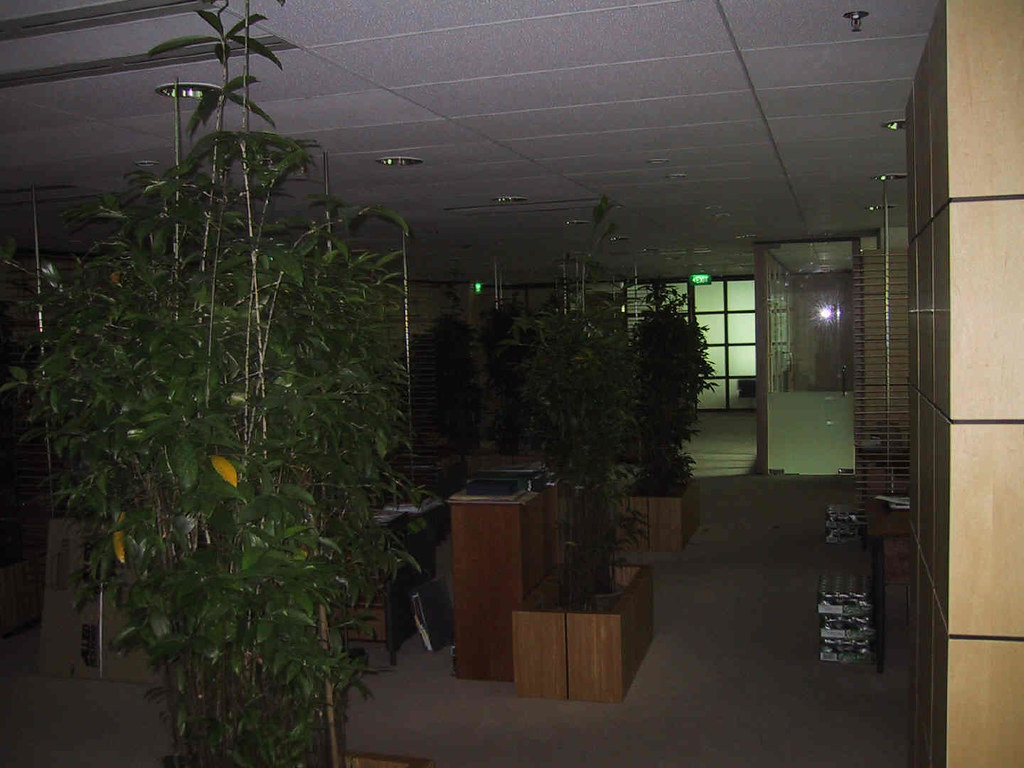 office plants Wheelock Place Ole Færge Flickr