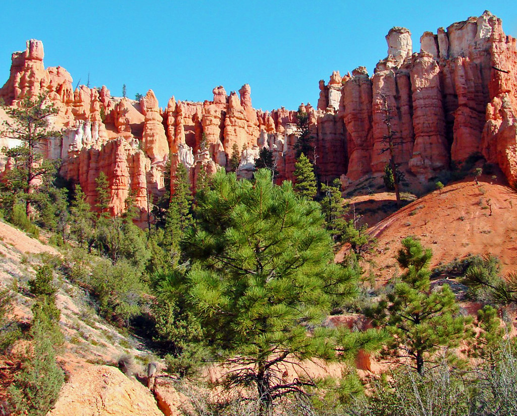 Red and Green for Christmas, Bryce, UT 2009 (1 in a multip… Flickr
