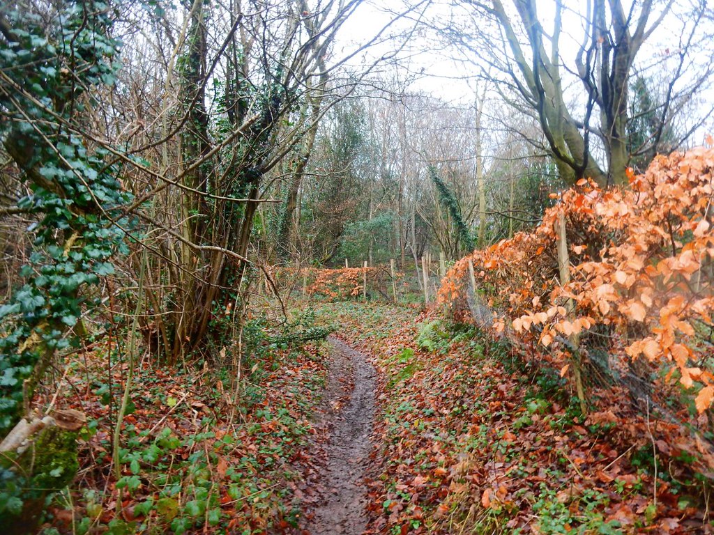 Photos Edenbridge to Westerham Walk SWC