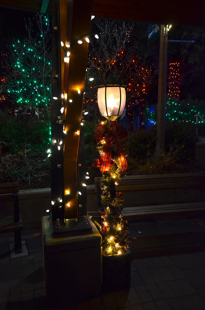 Lights At Harrison Some photos of the Christmas lights at … Flickr