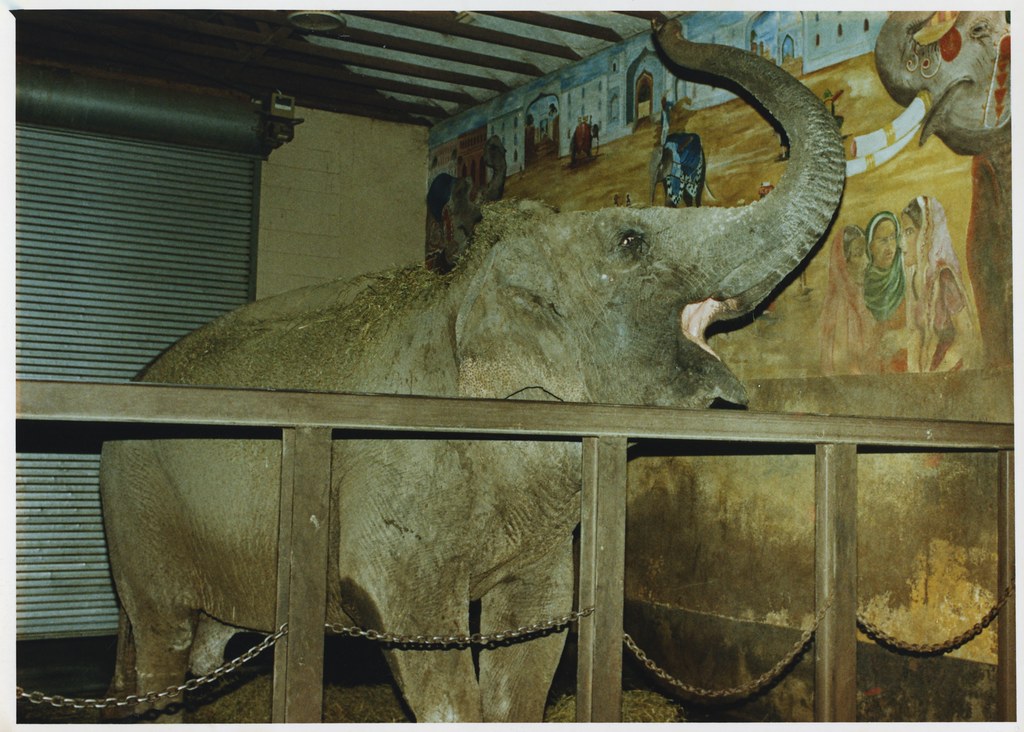 Slater Park Zoo / Daggett Farm Flickr