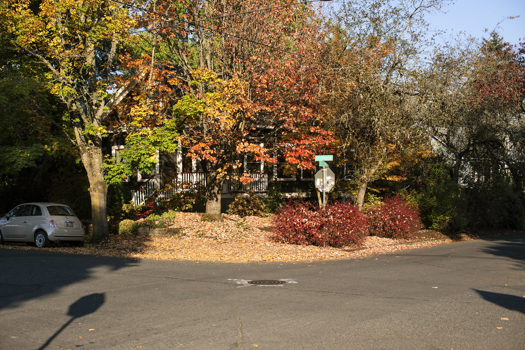 15th and Tenino Portland, Oregon Curtis Gregory Perry Flickr