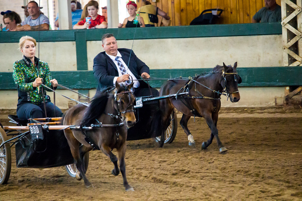 Iowa State Fair '18 Sumner Caughey Flickr