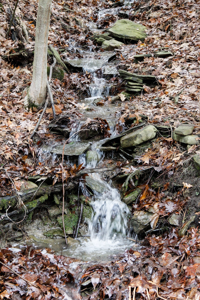 _MG_0506 A First Day hike along Conesus Lake. NYS DEC Flickr