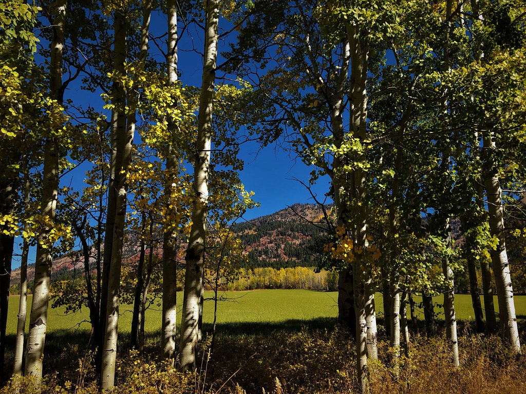 Elevation of Moose Flat Campground, Bridger Teton National Forest