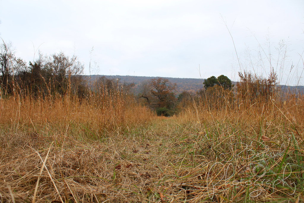 Sulphur Springs Cemetery AR11.19.18.2 JR Beckwith Flickr