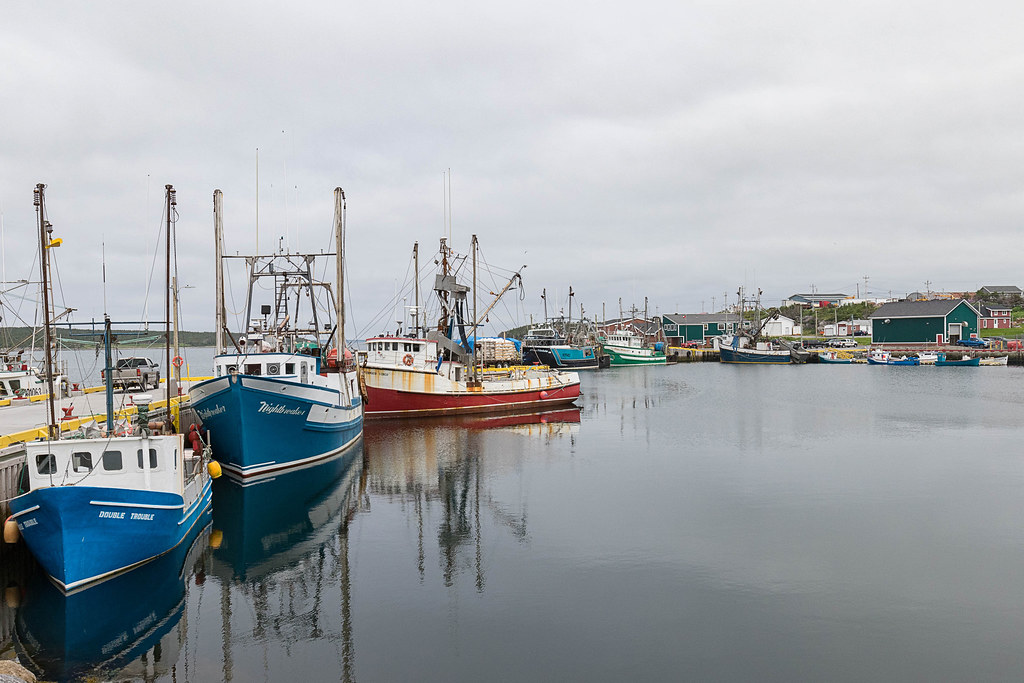 Port aux choix harbour (1 of 1) Maureen Roberts Flickr