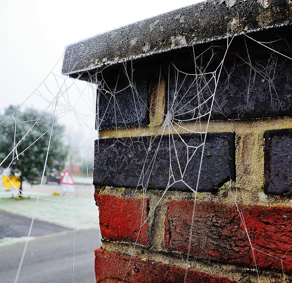 Frosty s Lincoln Road Skegness brad 28 Flickr