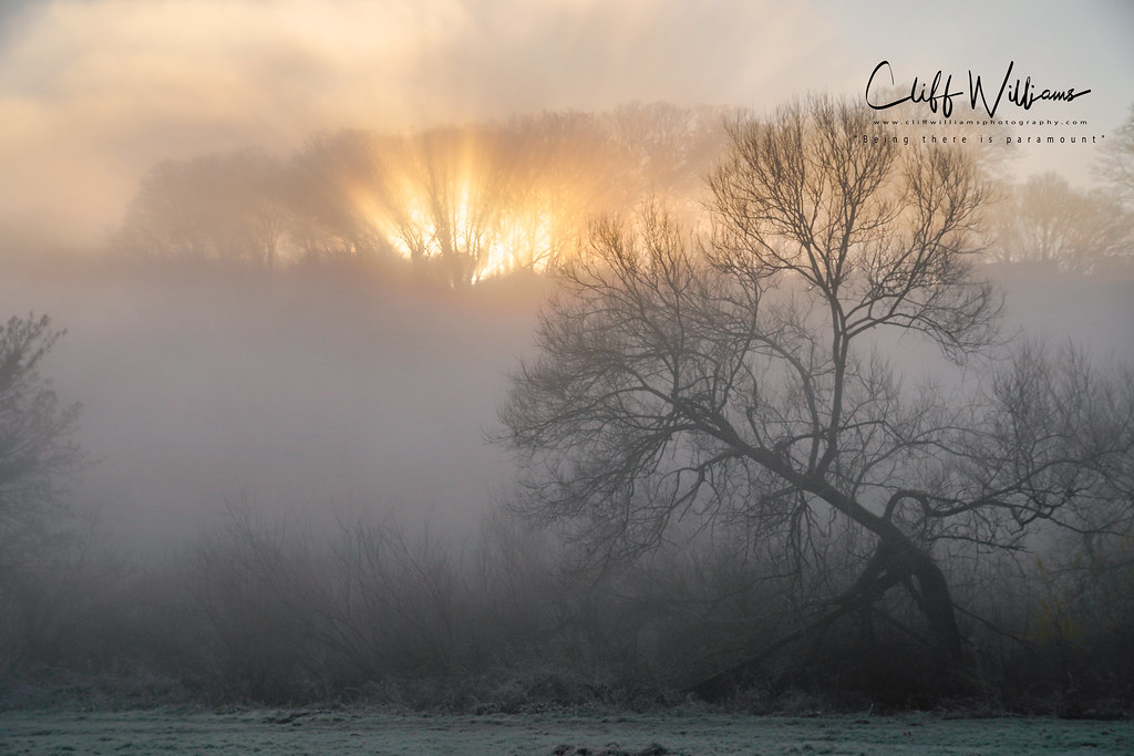 Elevation of Long Bank, Bewdley DY12, UK Topographic Map Altitude Map