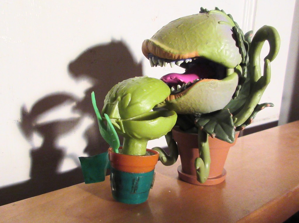 Battling House Plants 7405A Man Eating Plant Little Shop… Flickr