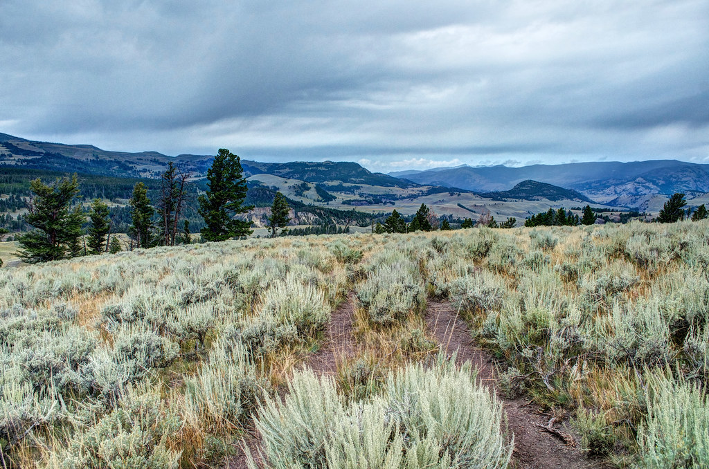 _DW27227_HDR.jpg Scenery along the Agate Creek Trail in Ye… Flickr