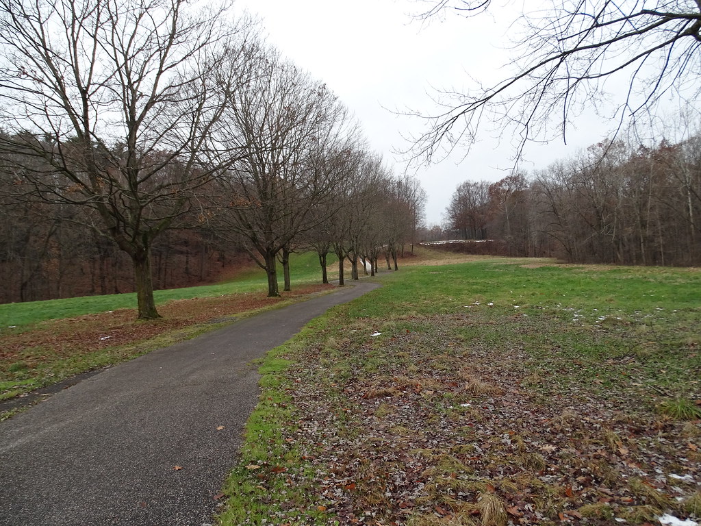Woodlands of Bedford Astorhurst Park 12118 (15) Frank J. Comodeca