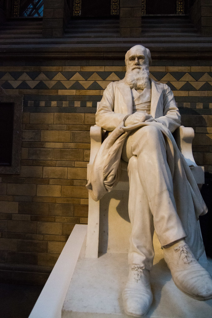 Darwin Statue Natural History Museum London Peter Taylor Flickr