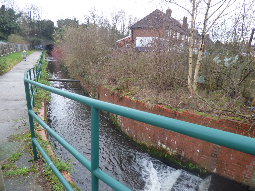 Plants Brook from New Hall Valley Country Park waterfall below the