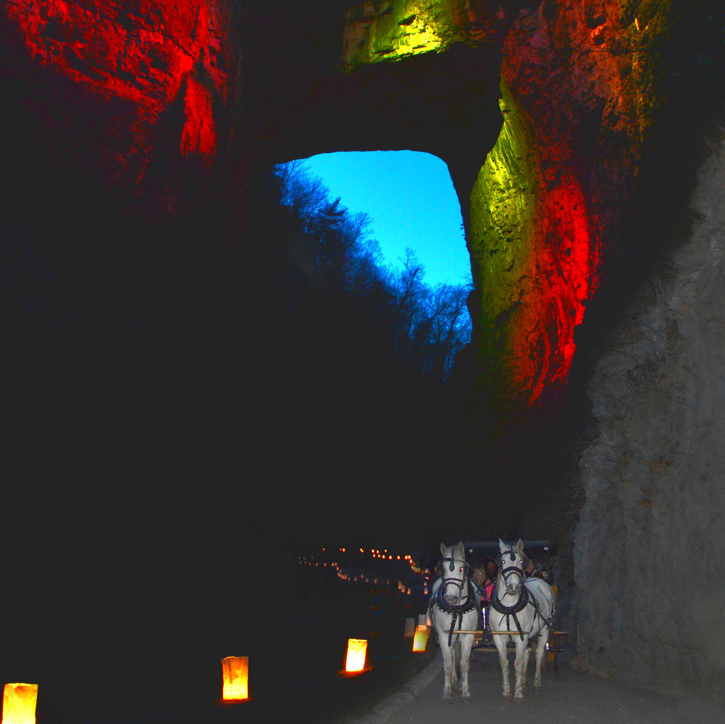 NB Luminaries A photograph of horses under the bridge du… Flickr