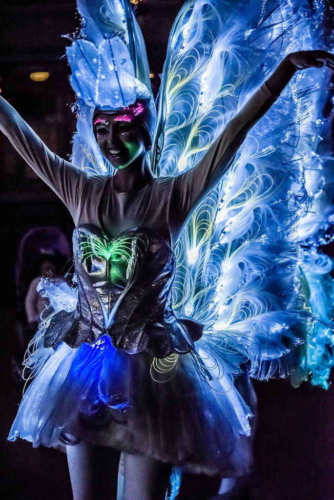 Paint the Night DCA _DSC1063 Landis Flickr