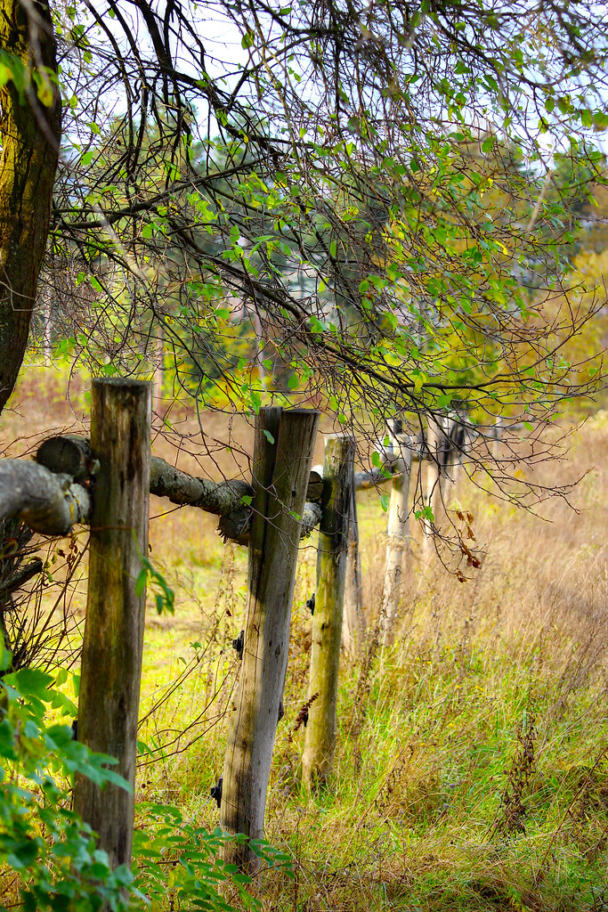 Long fence along / EXPLORE!! HUNGARY 🇭🇺 Bakonybél Flickr