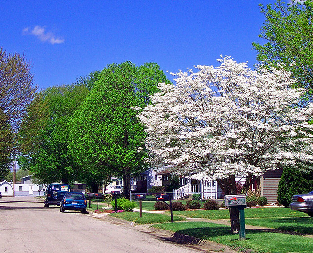 My Street Marple Avenue in Piketon, Ohio Don O'Brien Flickr