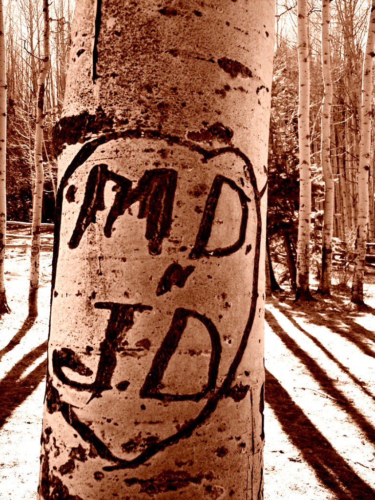 pics10 068 Jacob Landry Flickr