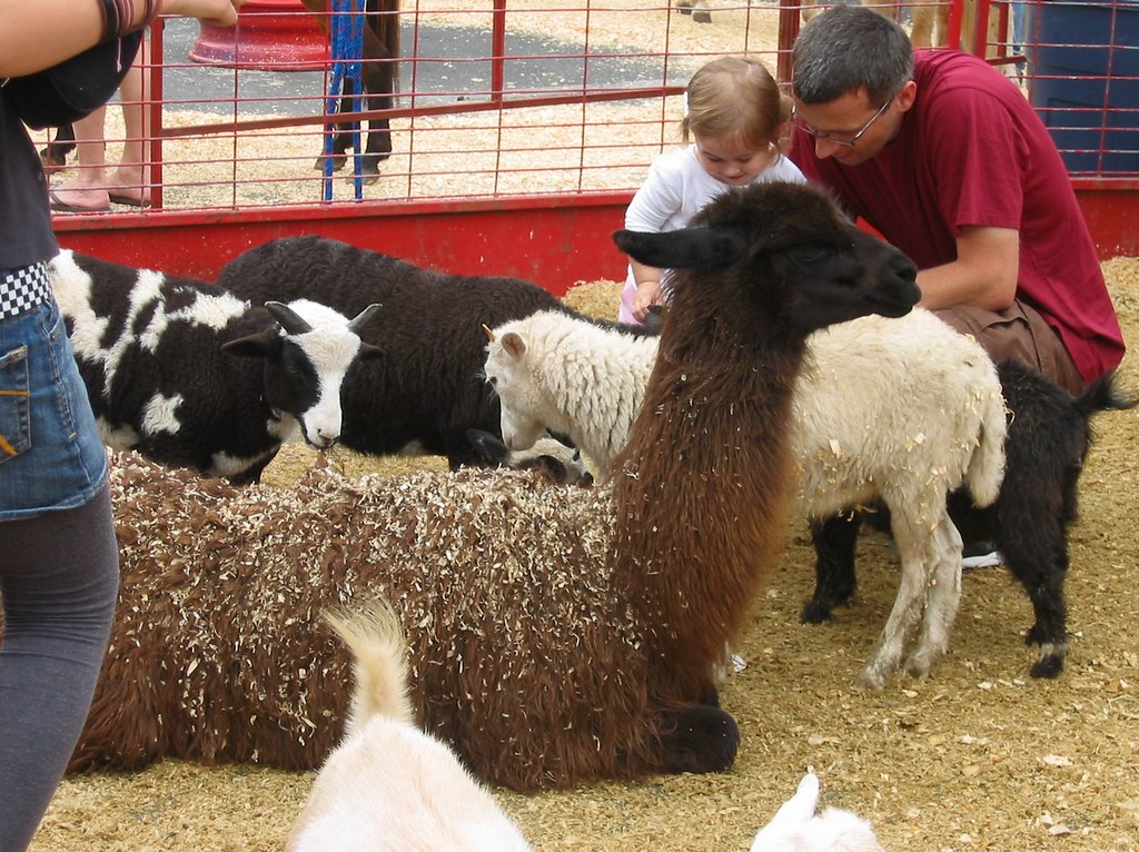 The Louis Vuitton Petting Zoo Natural Resource Department