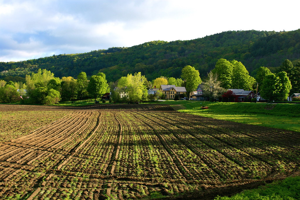 Spring Field in Bethel, Vermont New England was once cover… Flickr