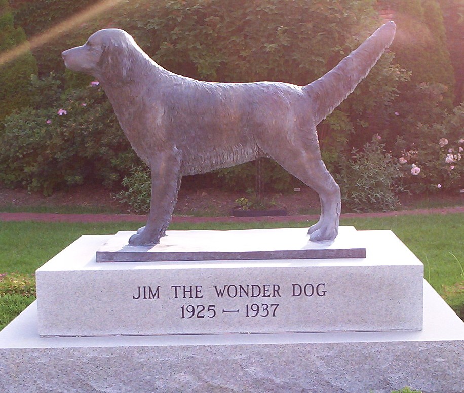 Jim The Wonder Dog Memorial I Our most famous resident Flickr