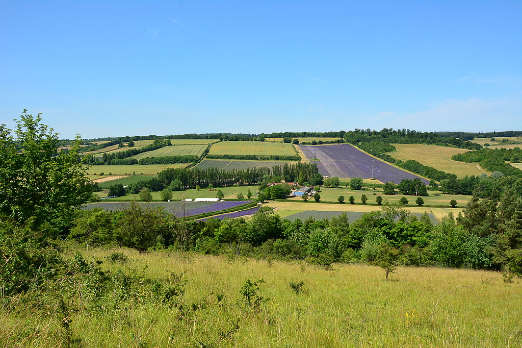 Preston Hill The view over Castle Hill Farm, Shoreham, Ken… Flickr