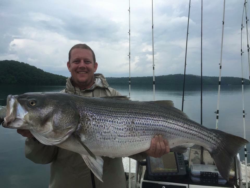 Beaver Lake Striper Fishing Guide Rogers Arkansas Bailey… Flickr