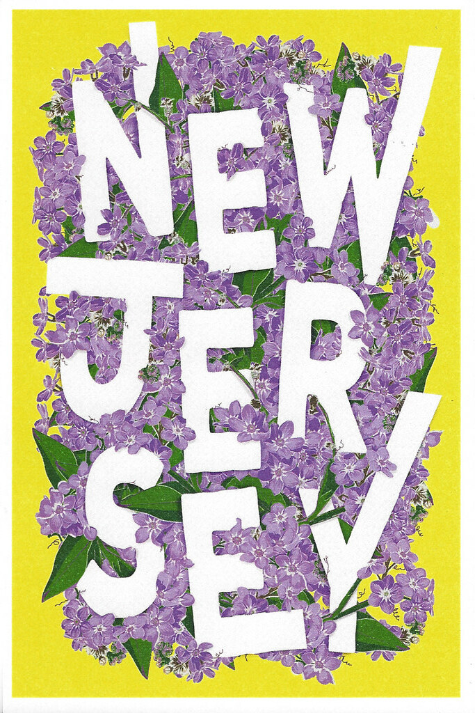 New Jersey Violets Typography Lantern Press Veeder73 Flickr