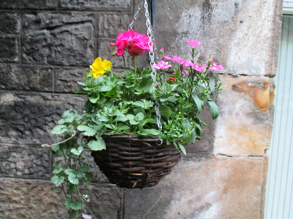 Hanging Basket. Leven. Fife, Scotland, Terry Gilley Flickr