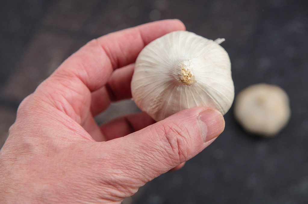 Garlic Human hand holding garlic bulb. Out of focus garlic… Flickr