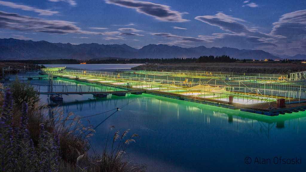 Salmon Farm Salmon Farm near Twizel, McKenzie Country Alan Ofsoski