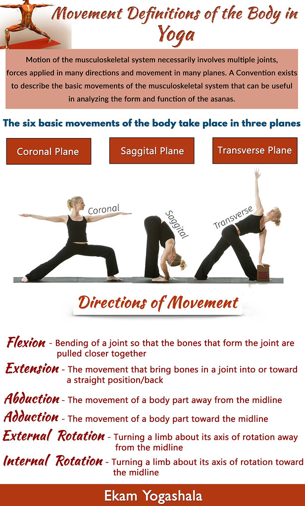Movement Definitions in Yoga Movement Definitions Anatom… Flickr