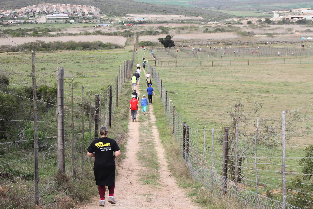 JHL_0176 Hartenbos parkrun at Kleingeluk venue. Gerold Whittaker
