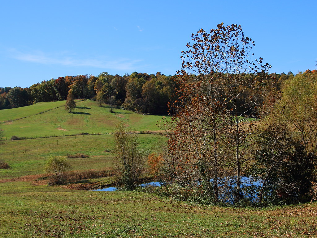 Autumn Orange County Countryside North of Orangeville, I… Flickr