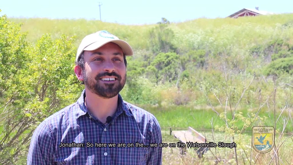 Watsonville Slough Farm in Santa Cruz County, California. Flickr