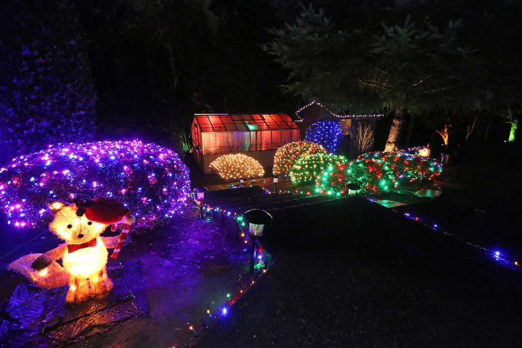 Christmas Lights 2018 Flickr