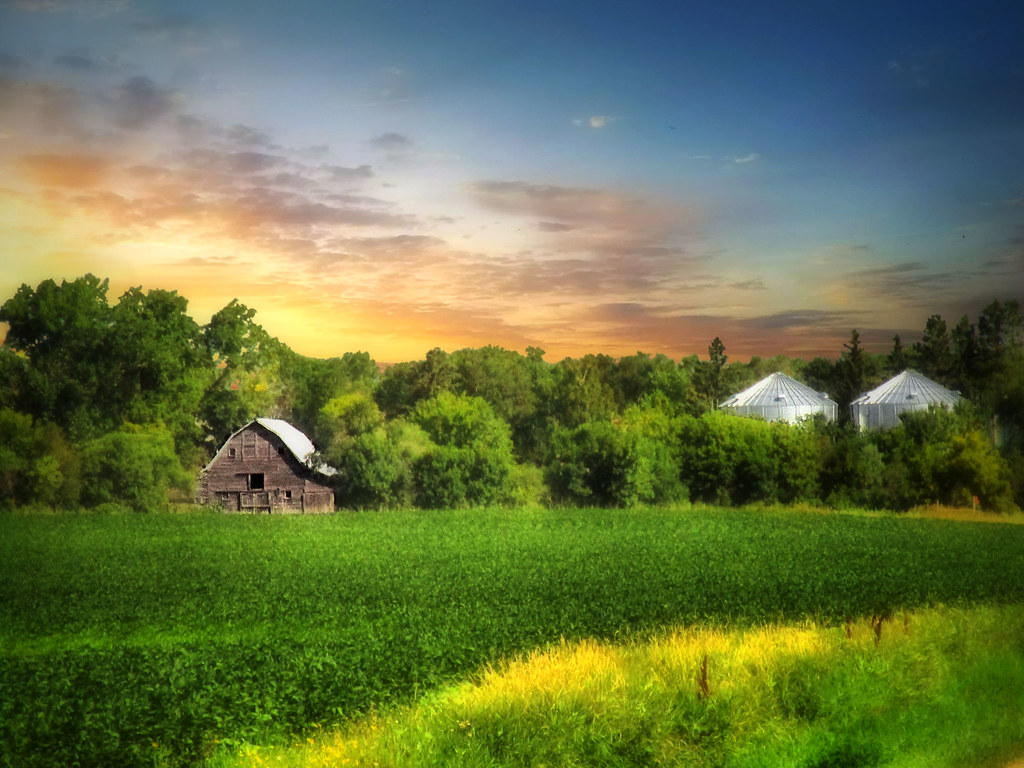 Farmland 12 Stutsman County, North Dakota. Thank you to ev… Flickr