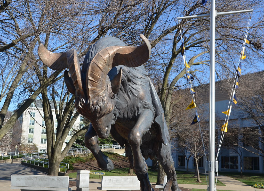 Mascot outside Lejeune Jall Statue of the Naval Academy's … Flickr