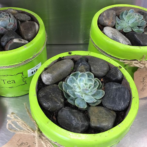 ⬅️order now Share,Like or Com… Flickr