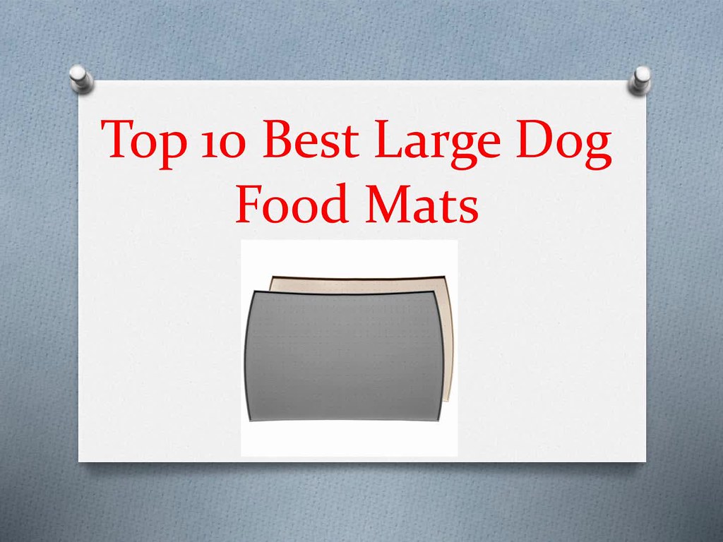 Top 10 Best Large Dog Food Mats My site Flickr