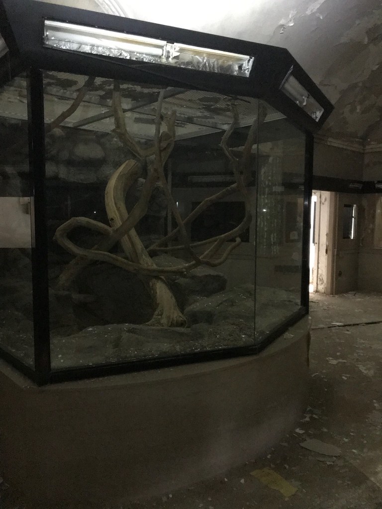 Interior, Former Maryland Zoo Reptile House, Druid Hill Pa… Flickr