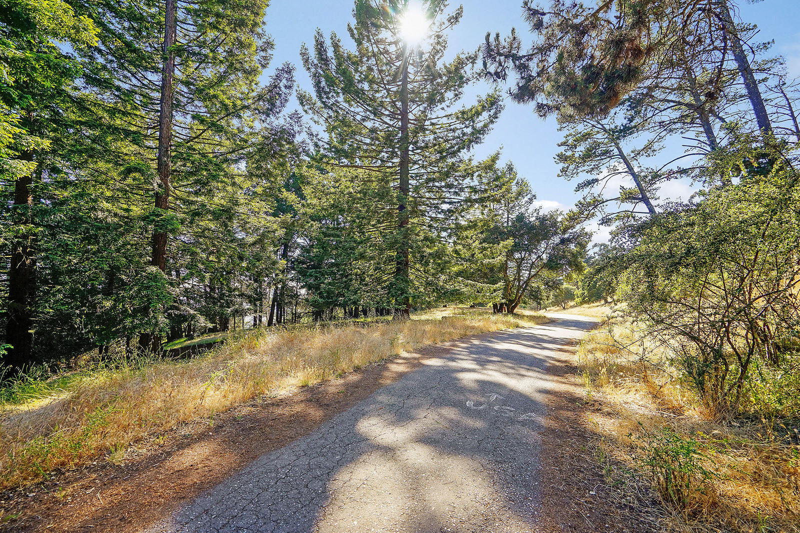 6533 Castle Drive, Oakland Presented by Rose Krinks