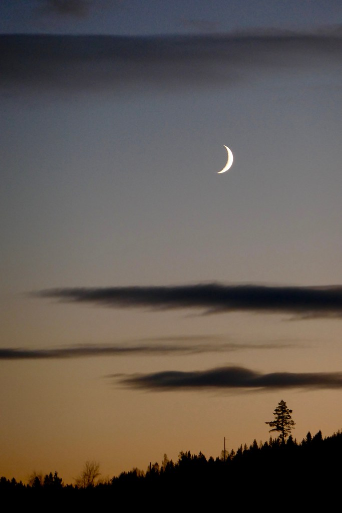 Land of the Midday Moon Back in the 1980's one of my Briti… Flickr