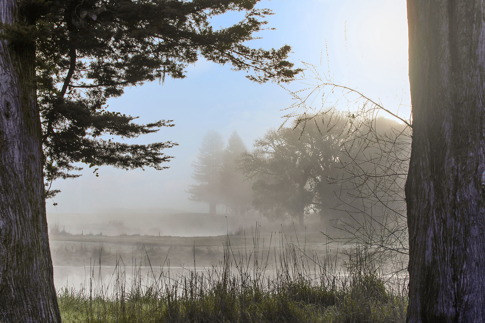 199 Central Avenue, Woodacre Presented by Sarah Kowalczyk & Lotte Moore