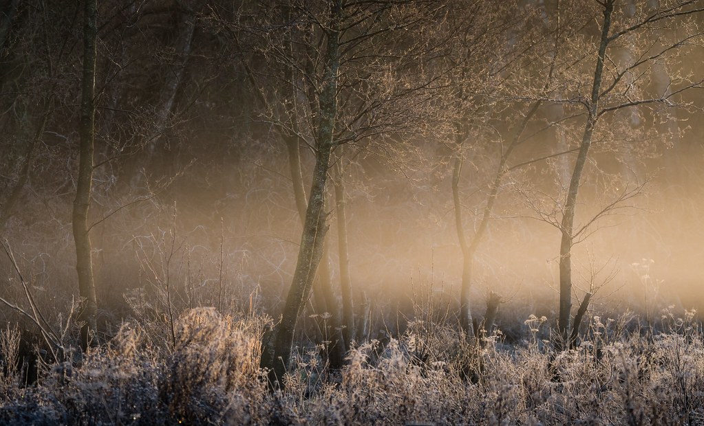 Fishlake Meadows Romsey d.g.photos Flickr